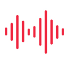 Auscultations et Essais sur Site